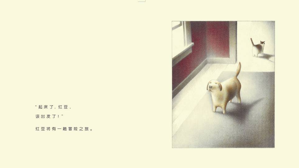 红豆与菲比 (05),绘本,绘本故事,绘本阅读,故事书,童书,图画书,课外阅读